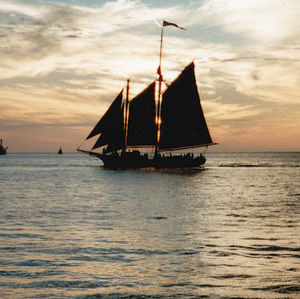 Meet your Posher, Harilal